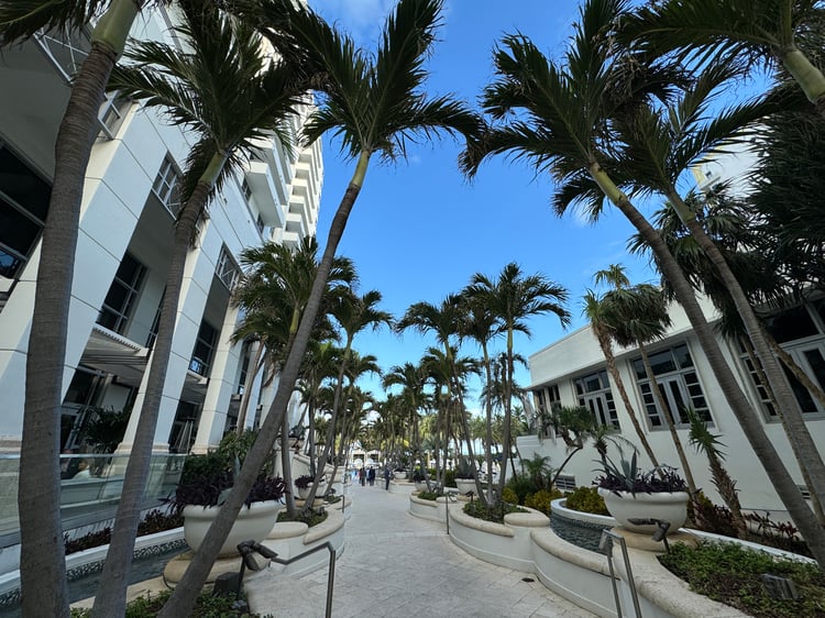 Some pic from the event